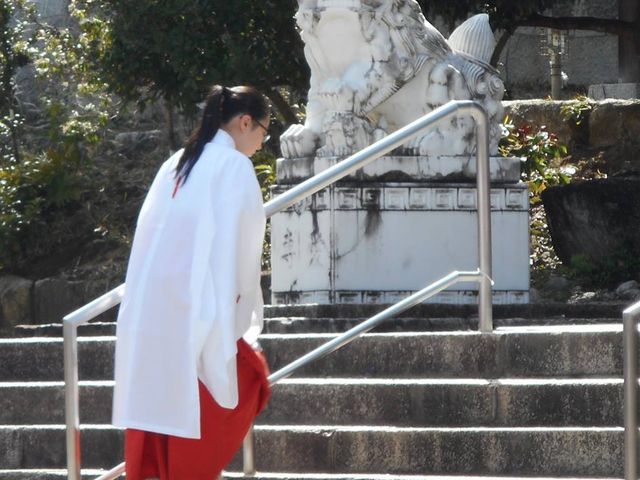 メガネっ娘の巫女さん_近江神宮