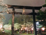 みっちゃんさんの大手門の投稿写真1