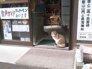 マスタングさんの瑞巌寺の投稿写真1