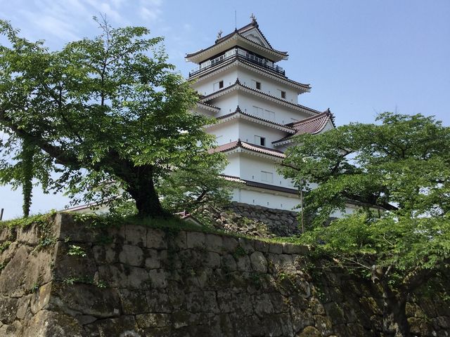 いい角度で撮れました。_若松城天守閣