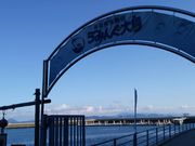 JOEさんのうみんぐ大島の投稿写真1