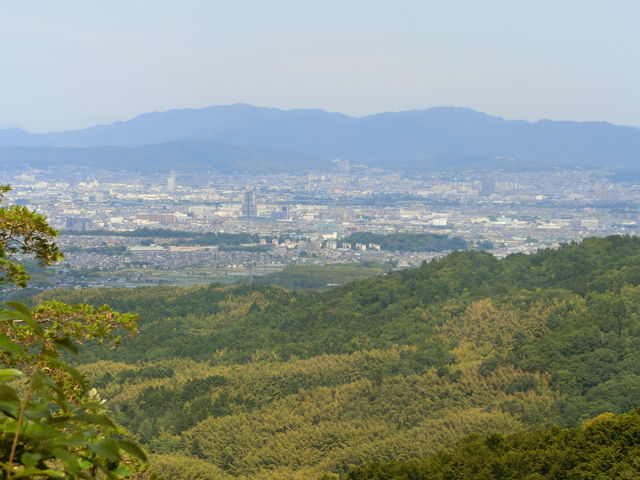 三鈷寺