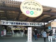 junさんのトキワ園芸農協花木センターの投稿写真1