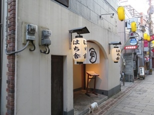 はち舎_はち舎