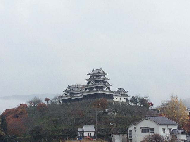川の土手から見た大洲城_大洲城