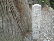 サビ猫さんの瑞巌寺の投稿写真4