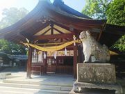 みどりさんの知立神社の投稿写真4