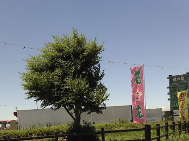 立田ふれあいの里_立田ふれあいの里