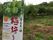 あきちゃんさんの寿長生の郷 Bakery&Cafe 野坐の投稿写真1