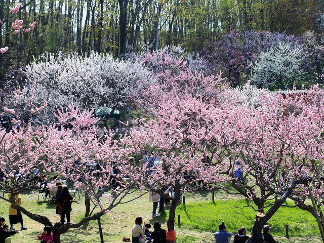 園内_平岡公園 売店