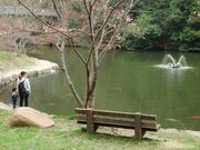 ダイヤモンドガストさんの早島町ふれあいの森公園キャンプ場の投稿写真2