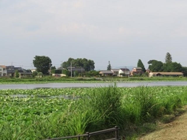 城沼_城沼