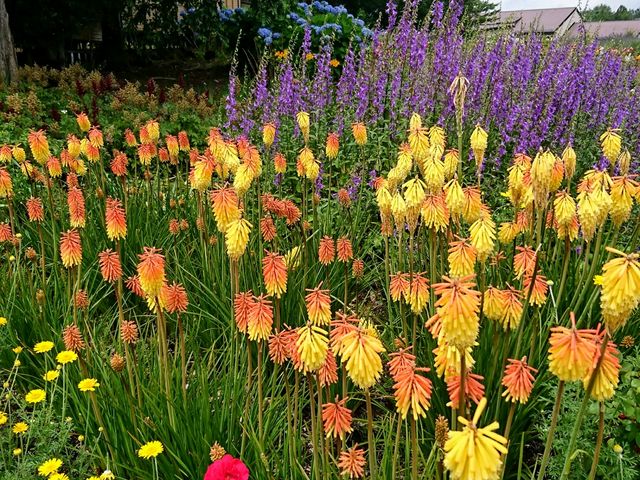 yu‐cyanさんの八木崎公園の投稿写真1