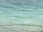 うみさんのうみんぐ大島の投稿写真1