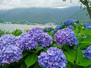 yu‐cyanさんの八木崎公園の投稿写真1