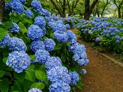 yu‐cyanさんの八木崎公園の投稿写真1
