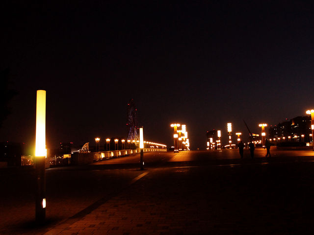 観覧車のある夜景が見れます。_夢の大橋