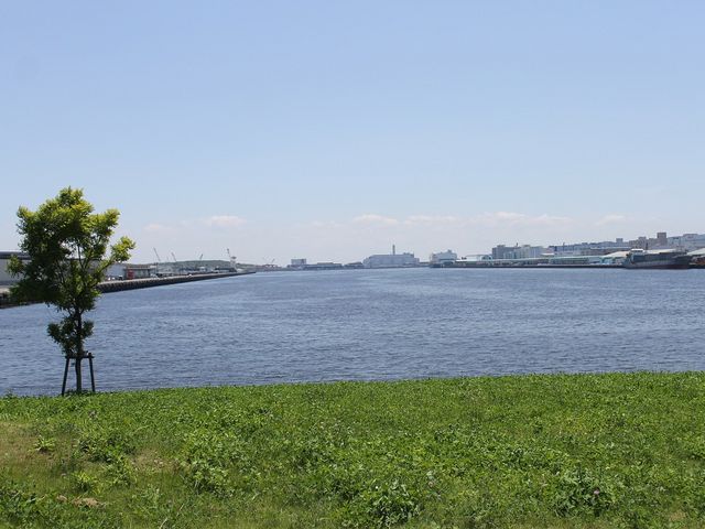 青と緑。_水の広場公園