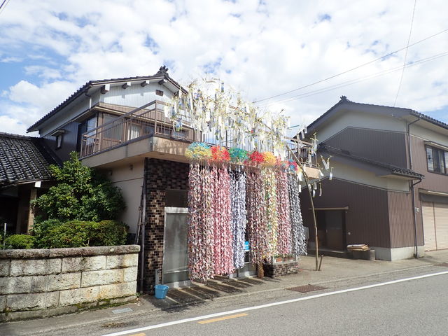 マイBOOさんの舟見街道の投稿写真1