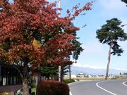 まろさんの道の駅 安曇野松川/寄って停まつかわの投稿写真1