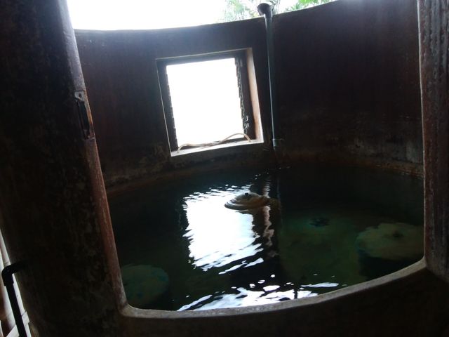 大浴場樽湯(女湯)_平野屋