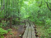 miyosikoさんの岳岱自然観察教育林の投稿写真1