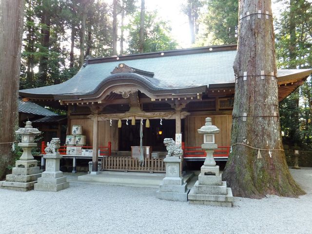 こぼらさんの御杖神社の投稿写真1