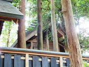 こぼらさんの御杖神社の投稿写真1