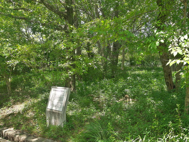 sklfhさんの佐味田宝塚古墳の投稿写真1