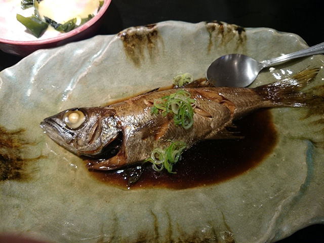 魚_酒蔵 冨士屋