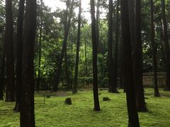 唐招提寺開山御廟の写真2