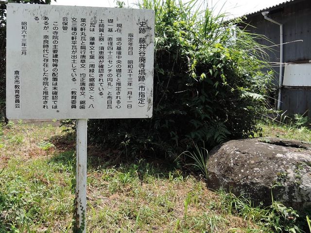 藤井谷廃寺跡_藤井谷廃寺跡