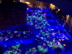すみだ水族館の写真1