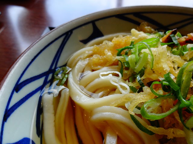 かけうどん_釜揚げ讃岐うどん 丸亀製麺 仙台若林店