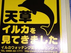 やまっつさんのイルカウォッチング受付予約センターへの投稿写真1