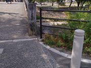 やまっつさんの桂川の投稿写真1
