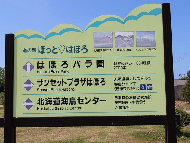 道の駅の裏側です。_はぼろバラ園