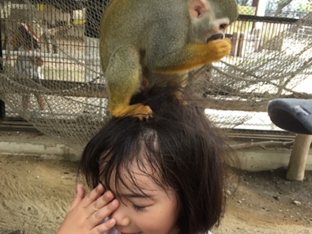 頭にエサ載せました。_宇都宮動物園