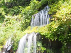 吐竜の滝の写真1