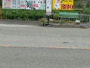 kazuswimjpさんの川西園の投稿写真1