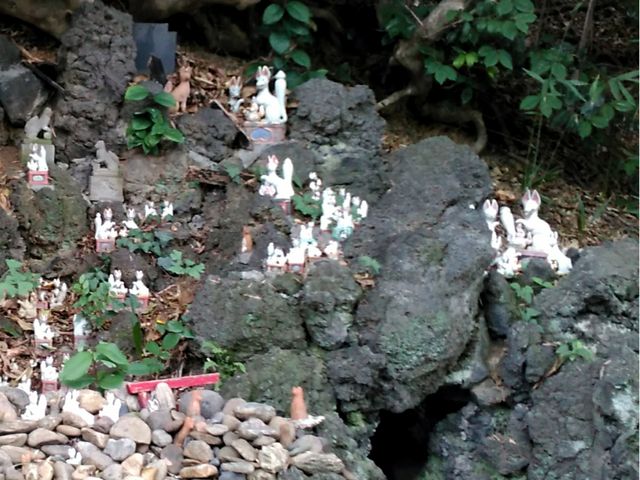 実際はもっとたくさん居ます。_城山稲荷神社