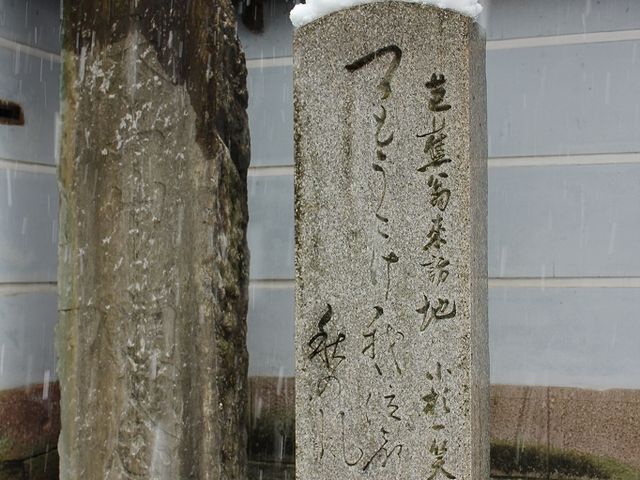 願念寺の句碑。「つかもうこけ我泣聲は秋の風」_松尾芭蕉句碑