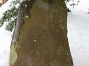 Yanwenliさんの松尾芭蕉句碑の投稿写真4