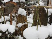 Yanwenliさんの松尾芭蕉句碑の投稿写真5