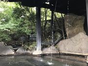 シトラさんの旅館 松乃井 離れ樹やしきの投稿写真2