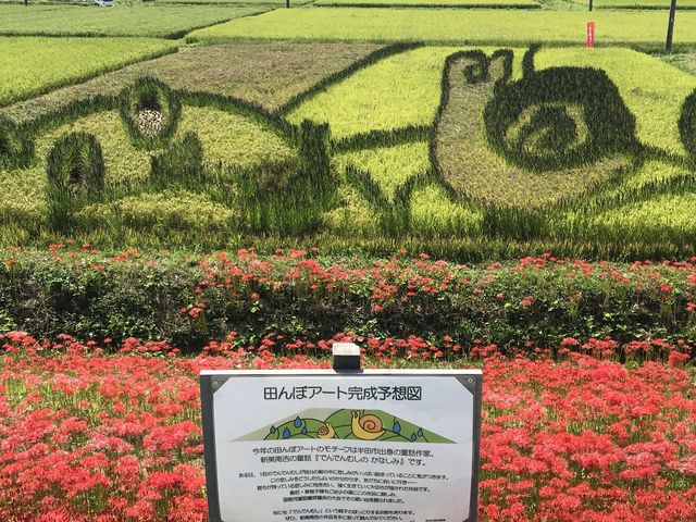 田んぼアートと彼岸花_矢勝川堤の彼岸花