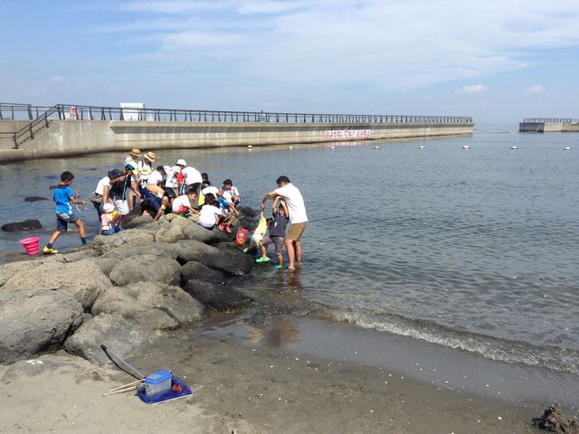 人工でも磯辺ではいろんな生き物がいます。_東扇島東公園