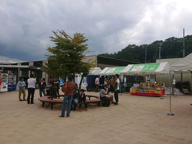 お土産に買ったぶどうがおいしかった。_道の駅 世羅