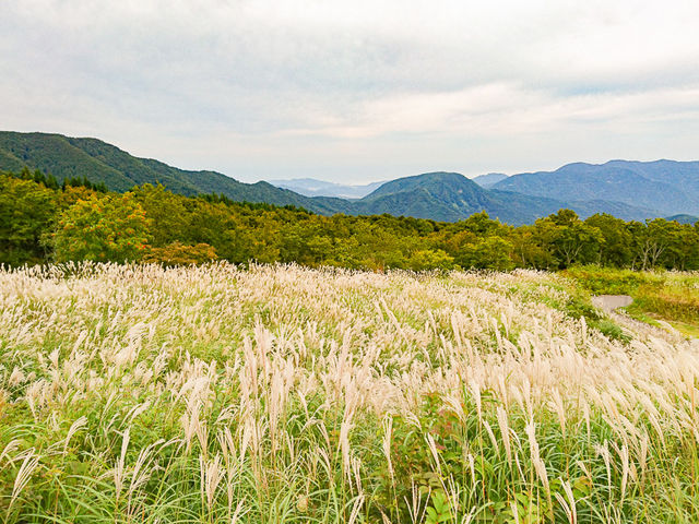 オオガミさんの上山高原の投稿写真1