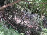 キヨさんの東海自然歩道の投稿写真2